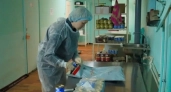 Россельхознадзор начал весеннюю проверку продуктов в детских садах Удмуртии