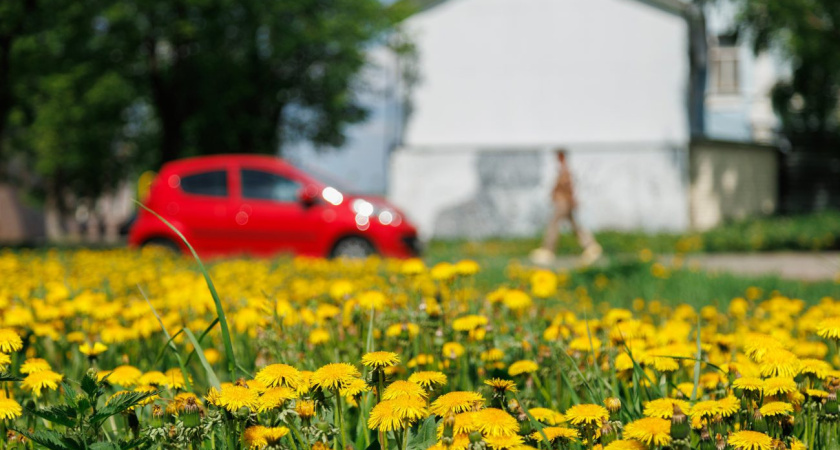 Погода в Глазове на 4 июня