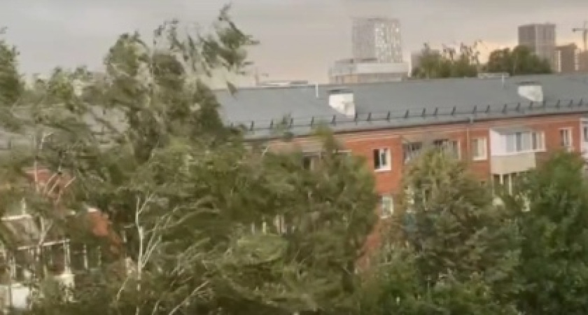 Вечером по Удмуртии прогнозируют грозы и усиление ветра