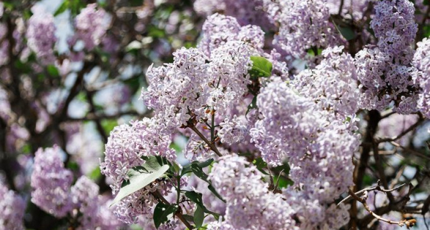 Погода в Глазове на 7 июня