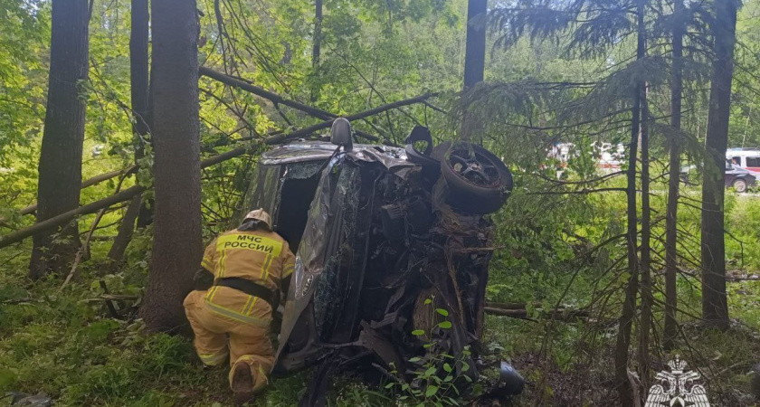 Лось стал причиной серьезного ДТП в Удмуртии