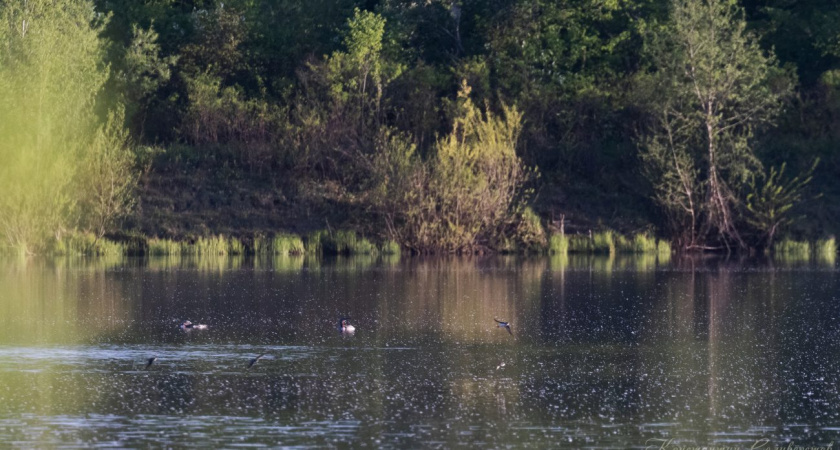 Погода в Глазове на 12 июня
