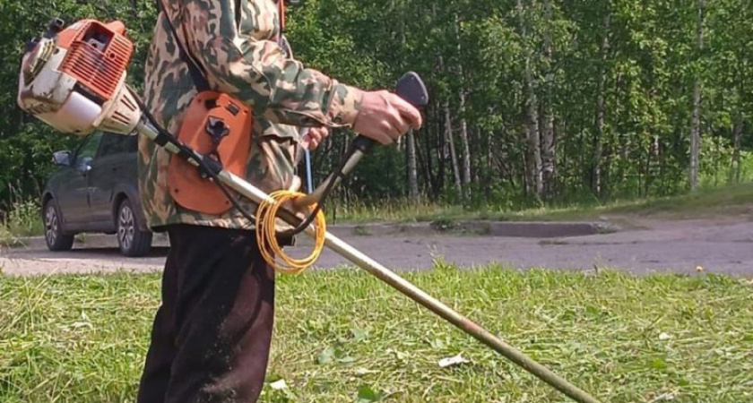 В Глазове провели проверку покоса травы