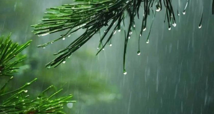 Погода в Глазове на 20 июня