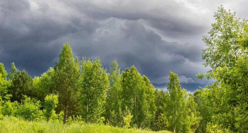 В Каракулинском районе Удмуртии накануне выпало 107 мм осадков не более чем за 12 часов