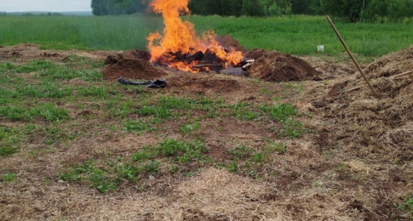 В Балезинском районе нашли свалку из крупного рогатого скота