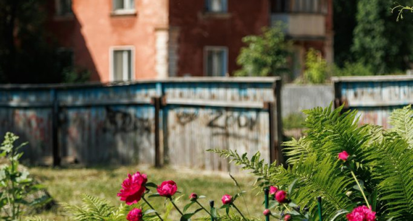 Погода в Глазове на 23 июня
