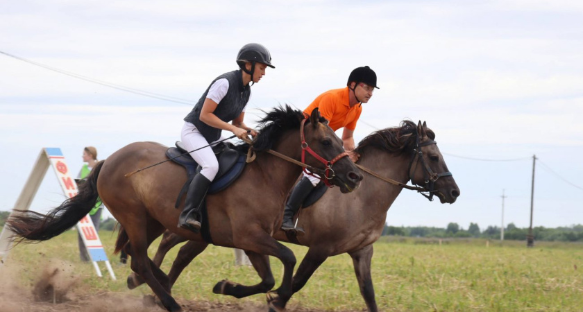 Глазов и Глазовский район впервые приняли республиканский Сабантуй (0+)