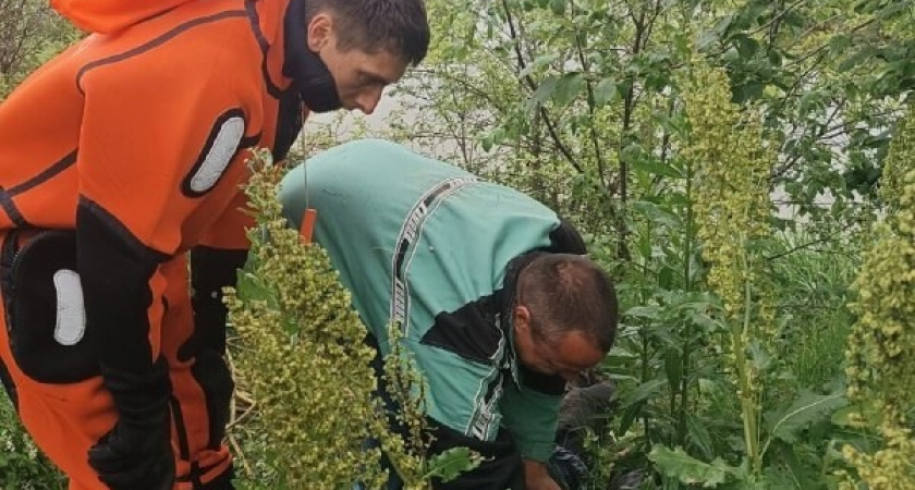 Мужчина сорвался с подвесного моста на пруду в Сарапуле