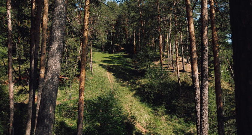 Погода в Глазове на 28 июня