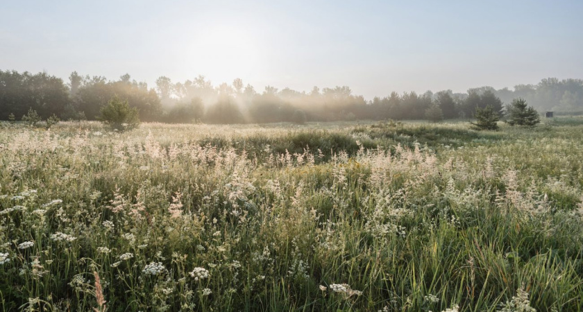 Глазовчанам завтра вновь будет жарко