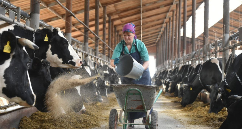 В АПК Удмуртии ощутим дефицит кадров