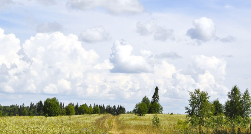 В выходные дни в Удмуртии установится ветреная погода