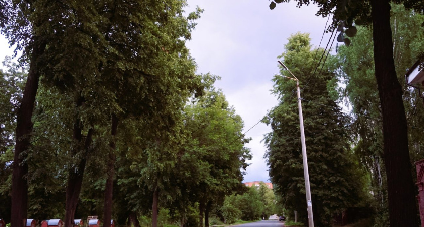 Погода в Глазове на 31 июля