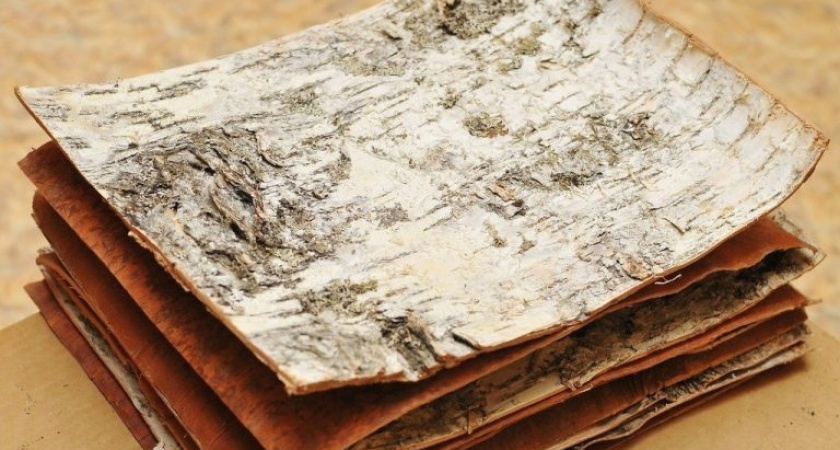 Бересту и сосновый корень экспортировали из Удмуртии