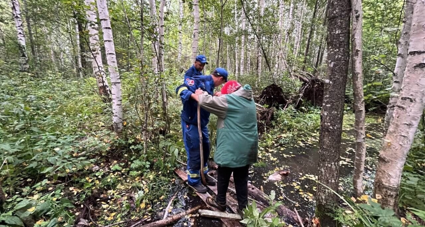 23 человека заблудились в лесах в Удмуртии за один день
