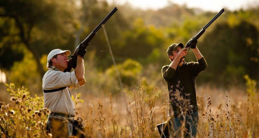 С 17 августа в Удмуртии открывается сезон охоты на пернатую дичь