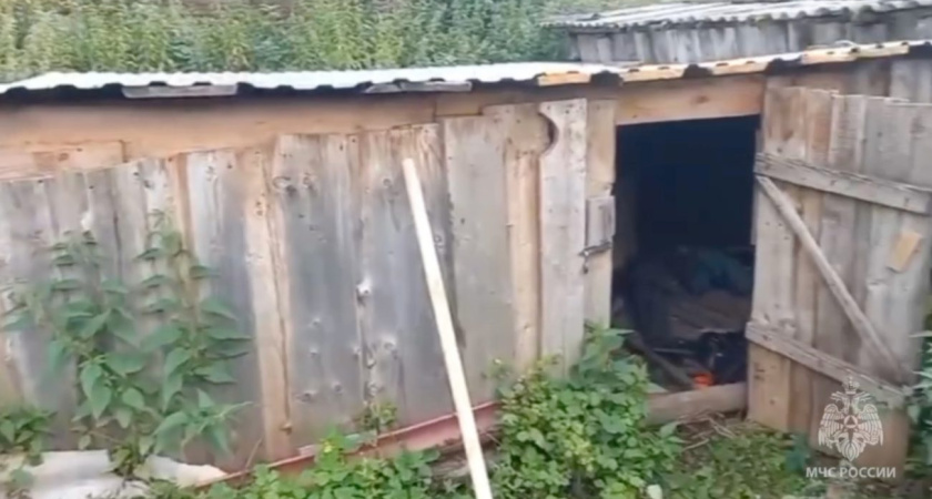 Ожоги получил житель Удмуртии при просушке овощной ямы