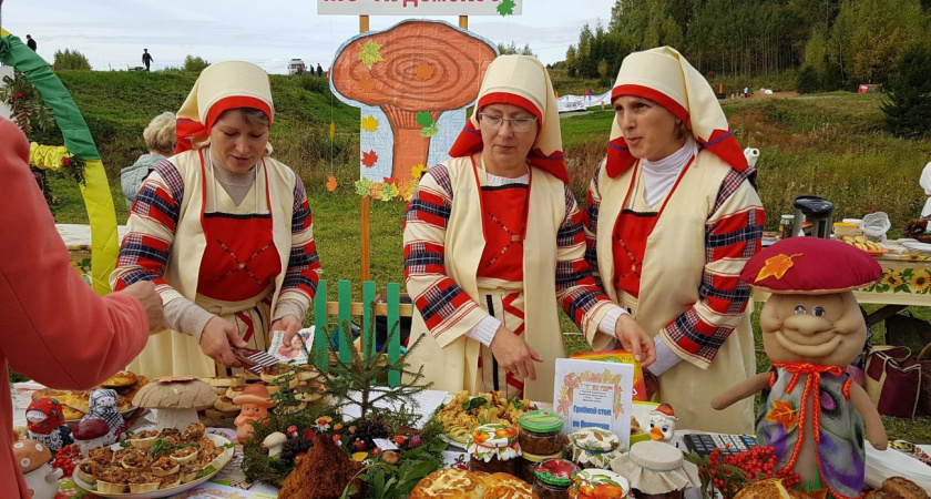 В Ярском районе пройдет культурно-гастрономический фестиваль "Губи Фест" (0+)