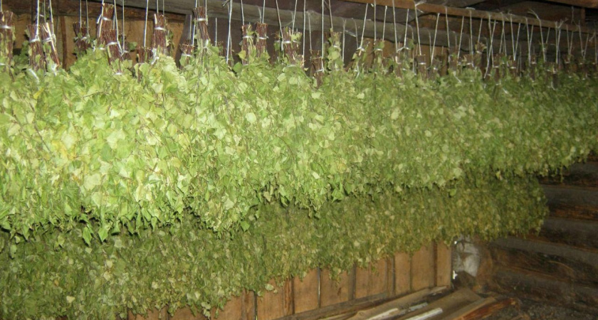 Из Удмуртии экспортировано 11 тысяч штук веников из дуба, берёзы, липы, пихты за границу