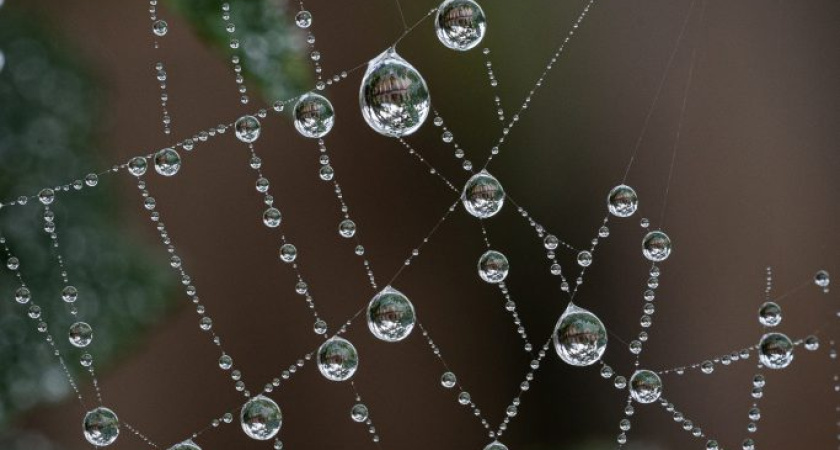 Погода в Глазове на 22 августа