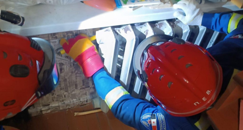 Глазовские спасатели спасли шиншиллу