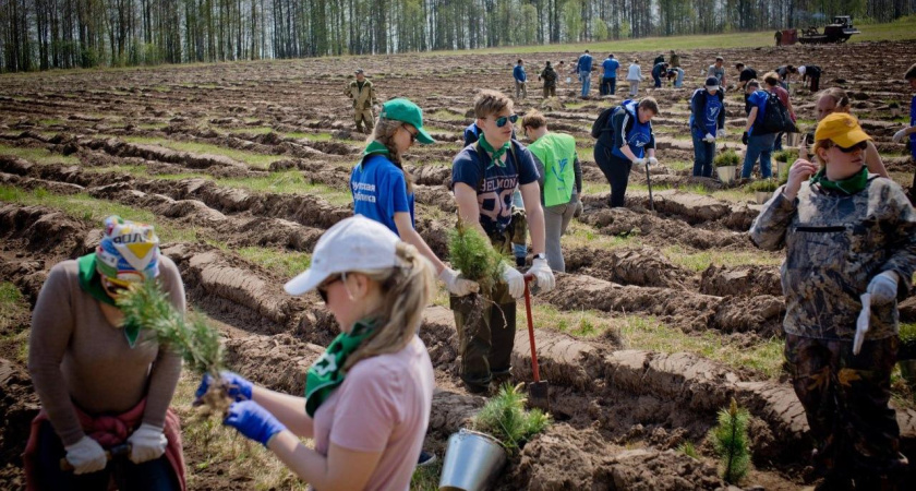 В Удмуртии пройдет акция «Сохраним лес»