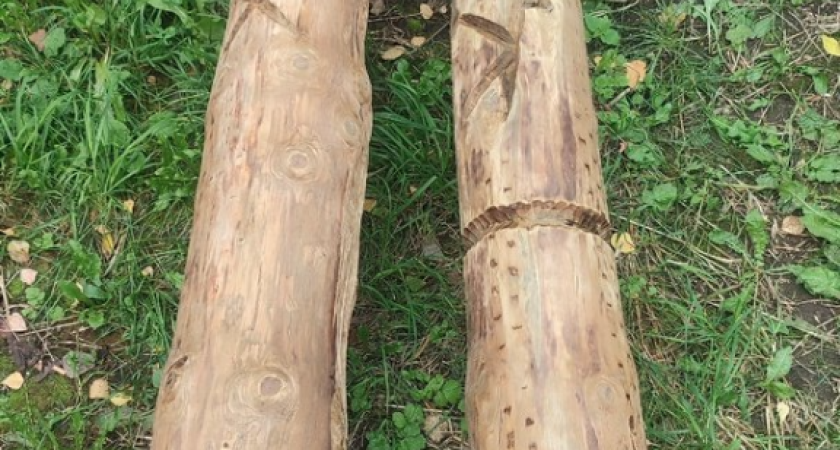 В глазовском музее-заповеднике «Иднакар» появится средневековая спортплощадка «Идна-батыр» (6+)