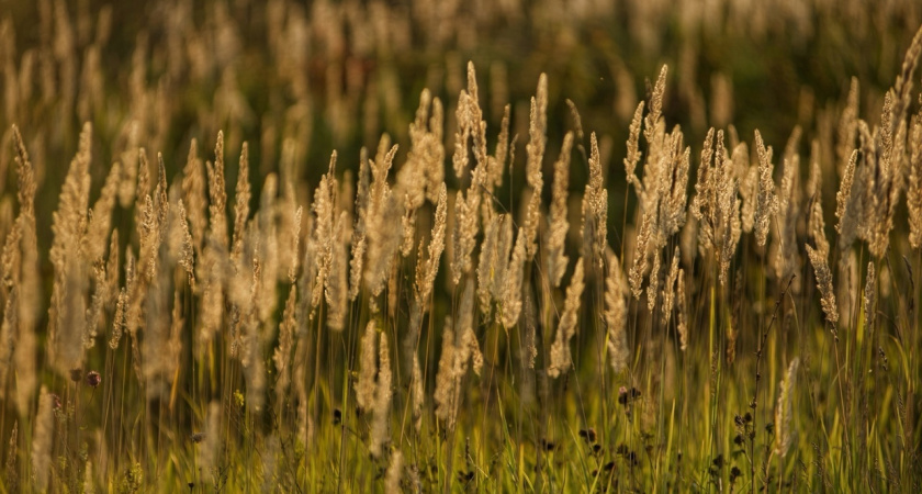 Температура воздуха в Удмуртии в эти выходные достигнет 26°С