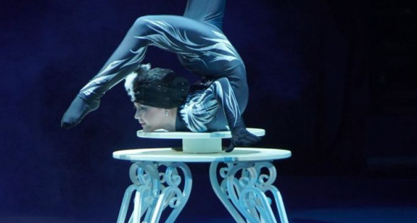 В цирке Удмуртии прошел фестиваль-конкурс любительского циркового искусства «Под куполом» (0+)