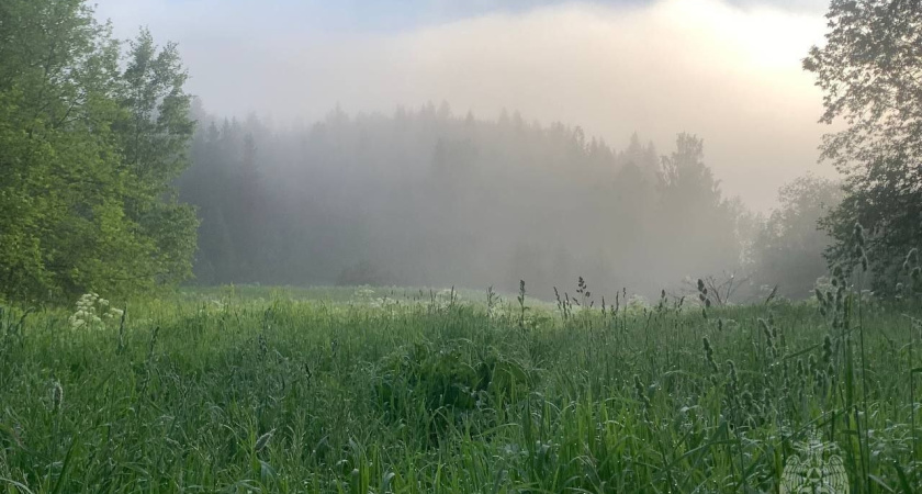Предстоящая неделя в Удмуртии обещает быть жаркой