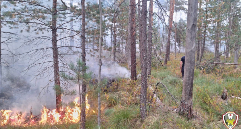 В Сюмсинском районе Удмуртии произошел крупный лесной пожар