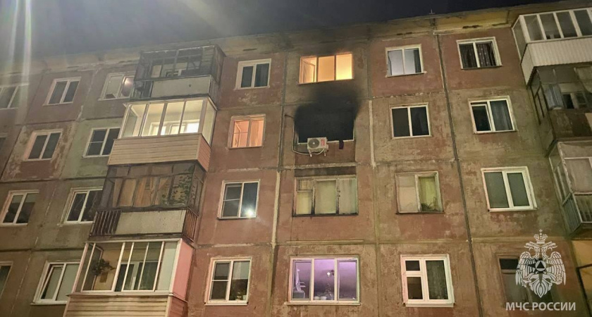 Троих детей спасли на пожаре в жилом доме в Ижевске, но погиб кот, который надышался угарным газом