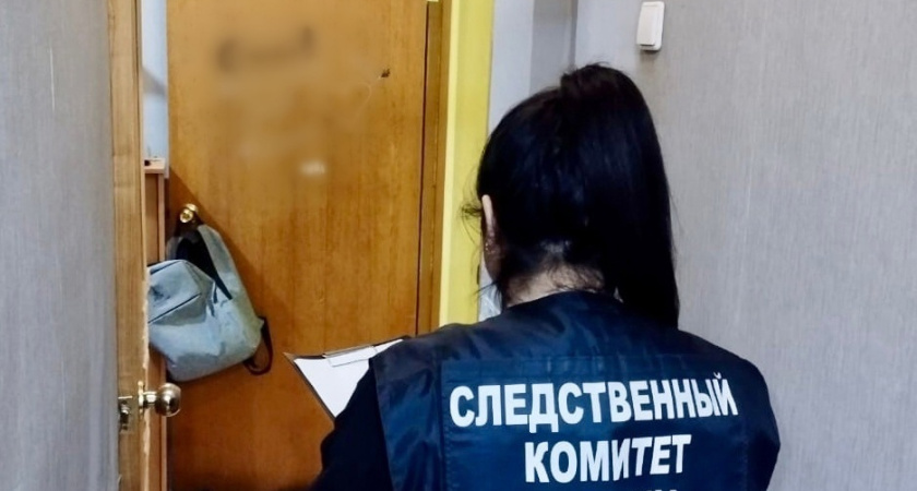 Жительница Удмуртии обвиняется в убийстве бывшего мужа