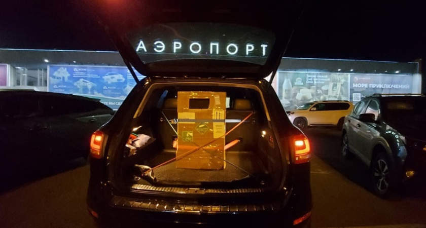 В Удмуртию впервые ввезли эмбрионы овец из Африки