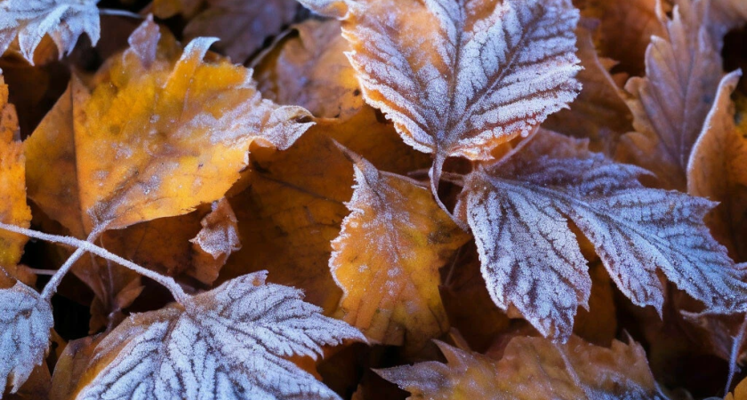 Погода в Глазове на 22 сентября