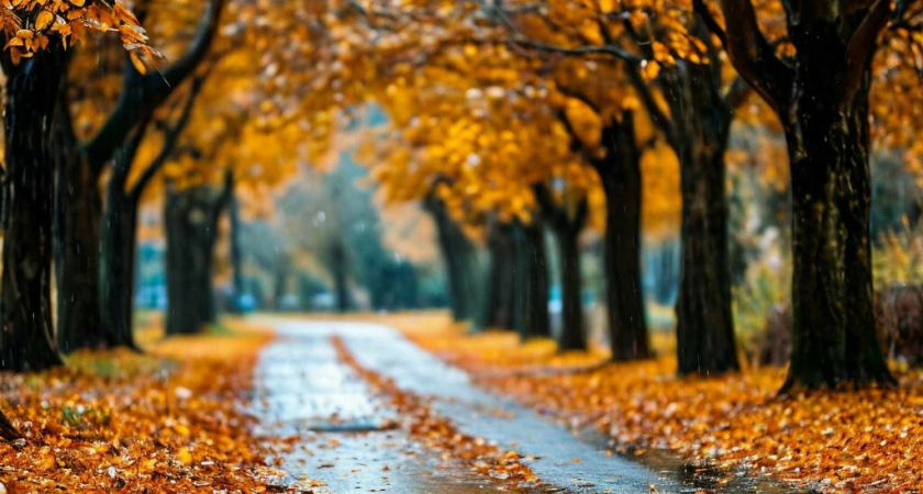 Погода в Глазове на 23 сентября