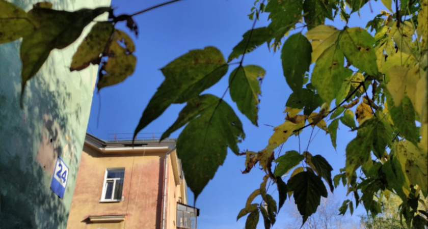 Погода в Глазове на 28 сентября