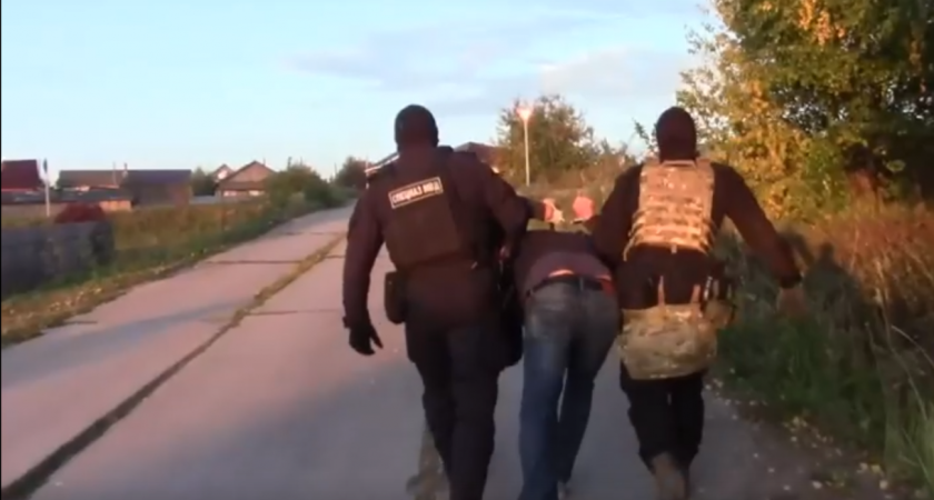 Шестеро жителей Удмуртии обвиняются в незаконной рубке леса на сумму более 30 млн рублей