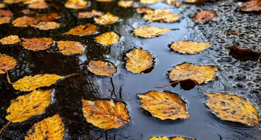 Погода в Глазове на 7 октября