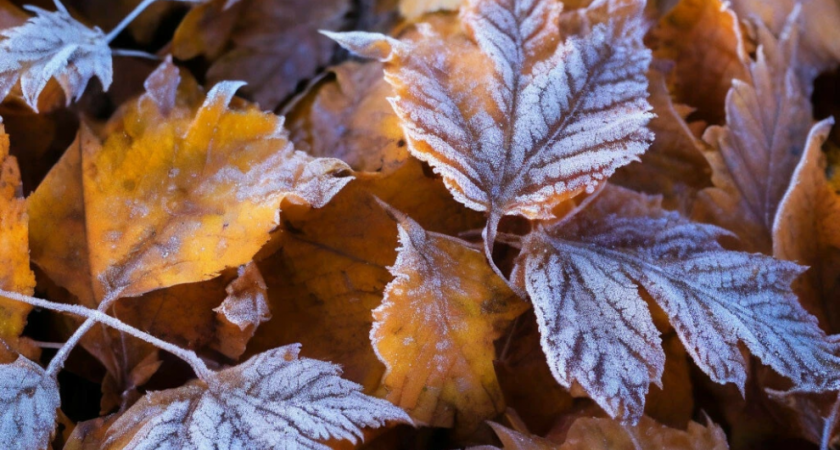 Погода в Глазове на 13 октября