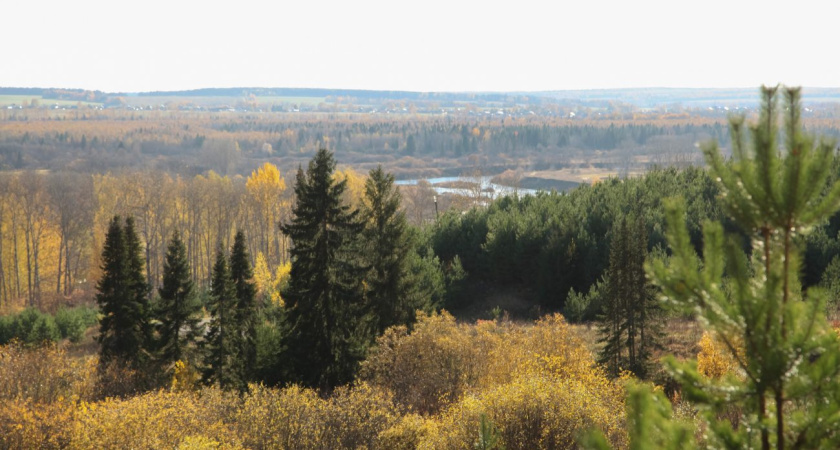 В начале недели в Удмуртии сохранится солнечная погода
