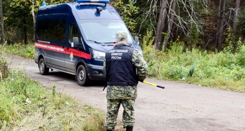 В Удмуртии мужчина осужден на 6,5 лет за покушение на убийство таксиста