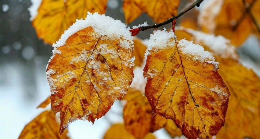 Погода в Глазове на 16 октября