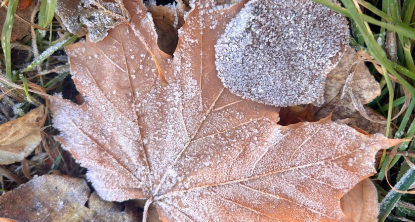 На этой неделе в Удмуртии похолодает