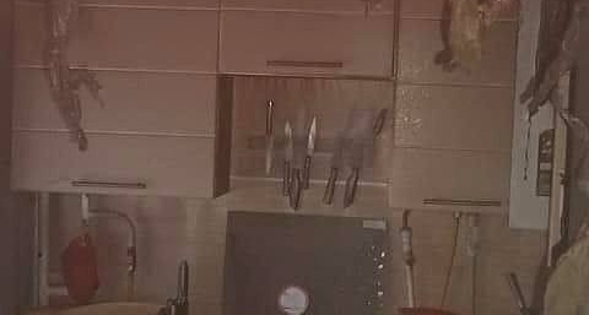 Вместо картошки подросток из Удмуртии поджарил квартиру