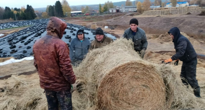 Аграрии Глазовского района подвели итоги работы