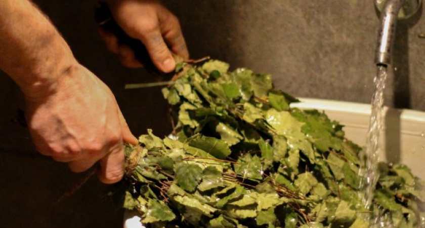 Экспорт банных веников из Удмуртии вырос в 1,5 раза