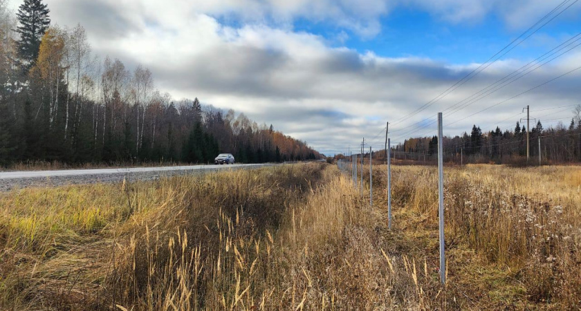 Ограждения от диких животных установили на трассе Ижевск-Ува