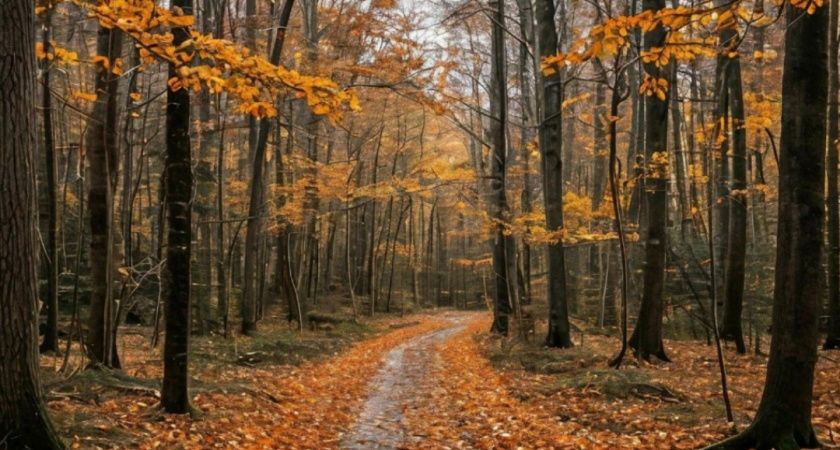 Погода в Глазове на 31 октября